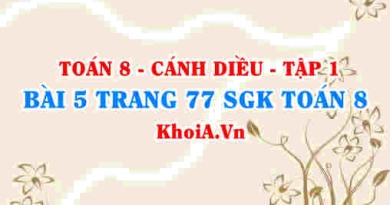 Bài 5 trang 77 SGK Toán 8 tập 1 Cánh Diều